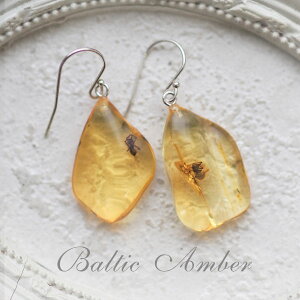 yogC߁zVo[sAXyzymusi415zSilver925@VR΁@p[Xg[@@悯@@͂@amber@@@Mtg@蕨@bsO