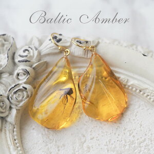 yogC߁z^JsAXyzyP[Xtzymusi416zVR΁@p[Xg[@@悯@@͂@amber@@@Mtg@蕨@bsO