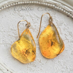 yogC߁z^JsAXyzyP[Xtzymusi417zVR΁@p[Xg[@@悯@@͂@amber@@@Mtg@蕨@bsO