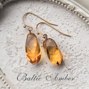 yogC߁z^JsAXyzyP[Xtzymusi420zVR΁@p[Xg[@@悯@@͂@amber@Mtg@蕨@bsO