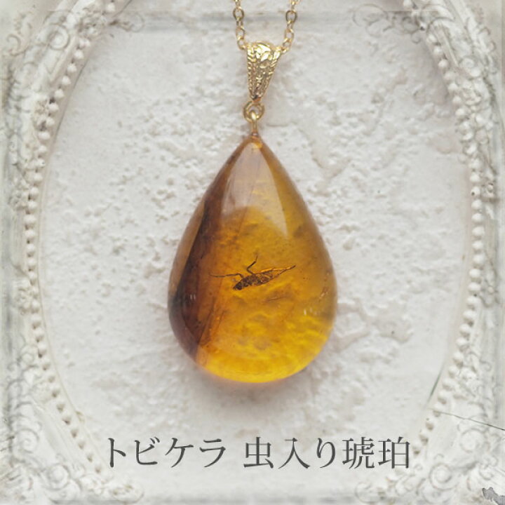 楽天市場】【バルト海の琥珀】ペンダント ネックレス 虫入り琥珀  