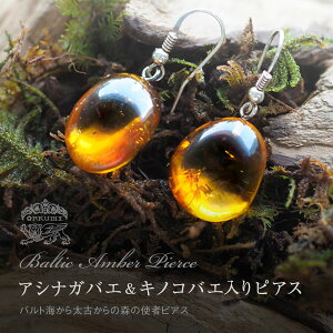 yogC߁zAViKoG&LmRoGsAXyzyP[Xtzymusi455zVR΁@p[Xg[@@悯@@͂@amber@Mtg@蕨@bsO