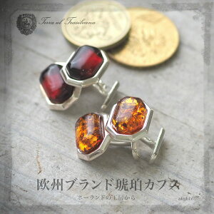 yogC߁znhCh@Vo[JtXyzyP[Xtzytr2120zy5czJtX{^@蕨@@amber@VR΁@p[Xg[@͂@Ao[@Silver925@Amber