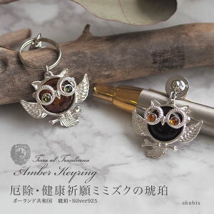 yogC߁zVo[~~YN^bNsEL[z_[yzytr2210zy3cz~~YN@@NF@VR΁@p[Xg[@Silver925@amber@͂@Mtg@