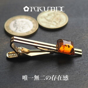 yogC߁zeB[S[hAo[@lN^Cs yzyP[Xtzytr2198zy5czVR΁@p[Xg[@Y@a@蕨@^Co[@Mtg@bs