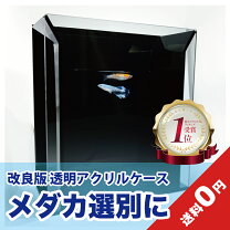 楽天市場】メダカ 撮影の通販