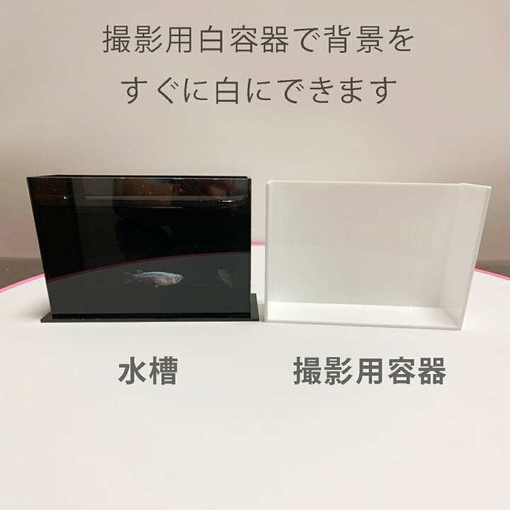 楽天市場 メダカ選別用 水槽 アクリルケース メダカ 水槽 アクリル製 撮影用容器 観察ケース 横見 薄型 改良めだか アクアリウム ボックス メダカ 選別ケース 透明 黒白セット アクリルざんまい 楽天市場店