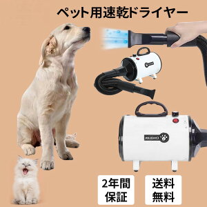 ybghC[ u^ hC[ ybg  ybgphC[  L Ɩp ╗  u[ 2Nԕۏ S̓{Ki ጸ 3mYt ybgpi 