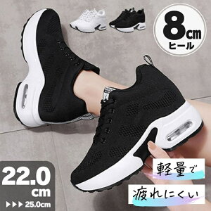 Xj[J[ fB[X 8cm Cq[Xj[J[ v[g EH[LOV[Y C r V[NbgV[Y y C 킢 ₷ q[ X|[cV[Y ؍ 