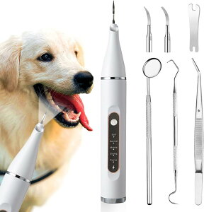 yԌP2{ 11/13zybgo@ puV gN[i[ USB[d 5[h߉ LEDƖ N[jOLbg uV uV^ LpuV LuV