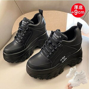  Xj[J[ 9cm Abv Cq[ fB[X V[NbgV[Y ҂ݏグ r [Jbg C _bhXj[J[ n X|[c JWA  wC X|[c AEghA 