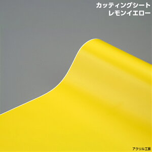 1000mm×1000mm JbeBOV[giCG[jFAN@ANP[X@RNVP[X@fBXvCP[X tBMAP[X\tXXI