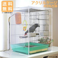 【おかもち】W545×H680×D545 アクリル バードケージ[スリムタイプ] オウム・鳥・小動物用アクリルケー…