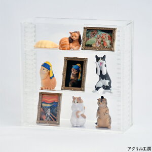 ItP[X ySzOʓ  wʔ JvZgCP[X ANP[X RNVP[X IׂwʐF ObY  [