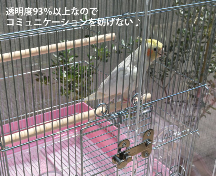 楽天市場】【プレミアム】W500×H500×D485 アクリル バードケージ  