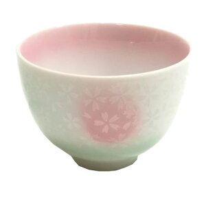  / ۂ /  TN   | SKR46916-307