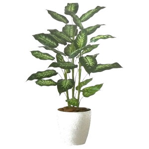 y lHϗtAzfBtFoMAR / o[Nt / F120cm × F70cm / ԁECeAEfBXvCEO[ | BV91840