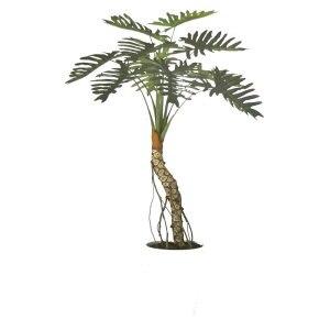 y lHϗtAzZ[ Thdグ / F150cm × F90cm / ԁECeAEfBXvCEO[ | BV91852