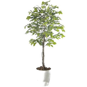 y lHϗtAzxW~iXvbV o[Nt / F200cm × F90cm / ԁECeAEfBXvCEO[ | BV98529