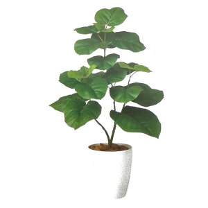 y lHϗtAzEx[^ o[Nt / F80cm × F50cm / ԁECeAEfBXvCEO[ | BV98923