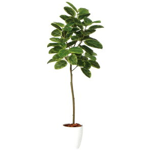 y lHϗtAzAeV}FST o[Nt / F150cm × F65cm / ԁECeAEfBXvCEO[ | BV98932