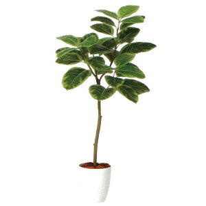 y lHϗtAzAeV} o[Nt / F120cm × F60cm / ԁECeAEfBXvCEO[ | BV98935