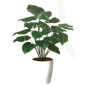 y lHϗtAz|gXR o[Nt / F70cm × F60cm / ԁECeAEfBXvCEO[ | BV98944