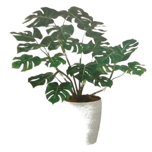 y lHϗtAzXeR o[Nt / F70cm × F60cm / ԁECeAEfBXvCEO[ | BV98947