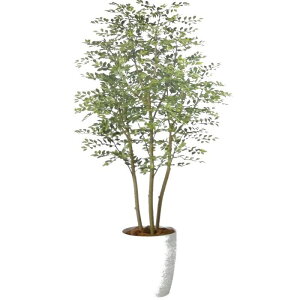 y lHϗtAzS[f[t o[Nt / F180cm × F80cm / ԁECeAEfBXvCEO[ | BV98969