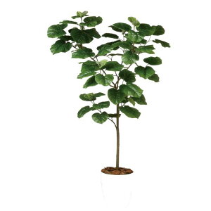 y lHϗtAzEx[^ o[Nt / F150cm × F80cm / ԁECeAEfBXvCEO[ | BV99103