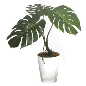 y lHϗtAzXeoC o[Nt / F70cm × F60cm / ԁECeAEfBXvCEO[ | BV99130