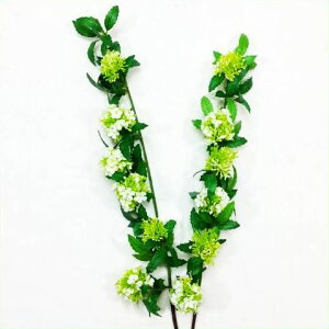 yԁEtzRf} / ł܂E{ / fBXvCEAWEA[gt[ |FA-6196 / FA6196