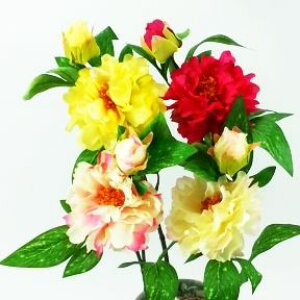 yԁEtEāzq{^ / ڂEObFF-2582