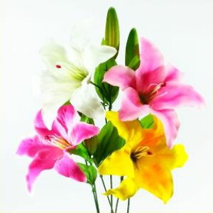 yԁEāEԁzJTuJ / EES | FF-2699 / FF2699