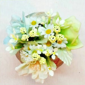 yԁE[Yz[YfCW[uoA~jsbN / ΂EoEKN / fBXvCEAWEf | VT-1937