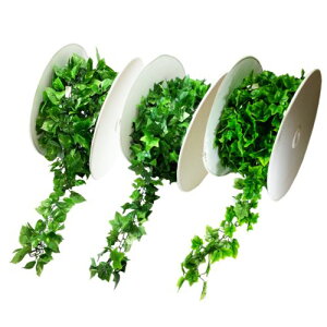 �y�؂蔄��z�O���[���K�[�����h / �|�g�X�@�A�C�r�[�@�O���[�v / �K�[�����h�|�g�X / �K�[�����h�A�C�r�[ / �K�[�����h�O���[�v / ���ԃ|�g�X / ���ԃA�C�r�[ / ���ԃO���[�v | GLA-1183A / GLA-118