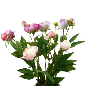 yԁEtz~j{^ubV / sIj[ ڂ O /AW VNt[ | FB-2367 / FB2367