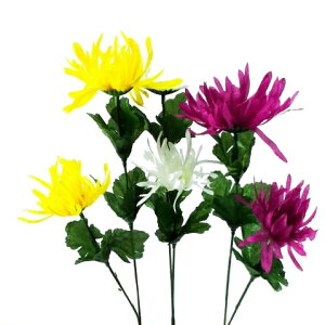 yԁEHEԁzCgMN×2 / e  LN e | 990026 / FF-2569 / FF-2779