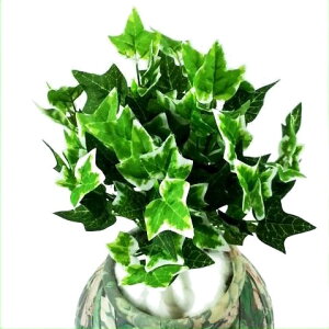 yԁEO[zACr[[tubV / с[ | FRO-1550