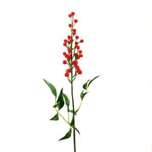 yԁEHE~Ezie / ȂĂ V / fBXvCEf | 990229 / FS5144