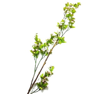 yԁEtEzII}UNL /  TN | FS-7673 / FS7673