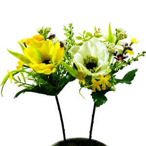 yԁEtzAllMIXsbN / VNt[ fBXvC | VE-6634