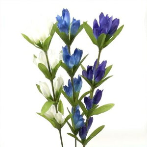 yāEH̑ԁzhE / ǂ _ | 990008 / FS-8236