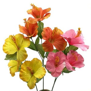 yԁEāzTenCrXJX×3 / ͂т ub\EQ / fBXvCEAWEf | FL2951