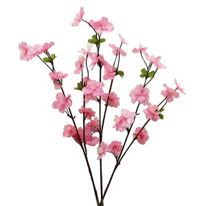 yԁEtzXv[ /    ЂȍՂ | 990222 / FS-5408