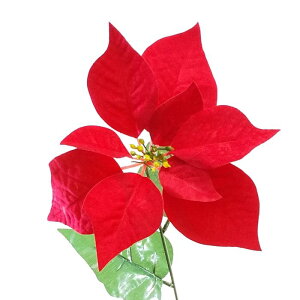 yԁE~ENX}XzxxbgVO|CZ`A / ۂ񂹂 | FS-6063