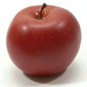 yԁEHEz / ͑i u S ь | H0462