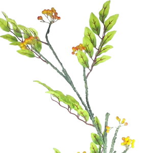 yԁEHEO[zȂȂ܂ǁEiiJ}hE}b9668