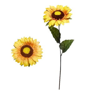 yԁEāzdq}EЂ܂EEq} | 990230