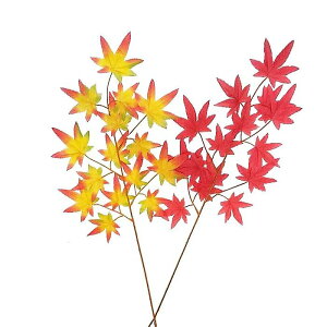 yԁEHE݂z~W / gt | 990243